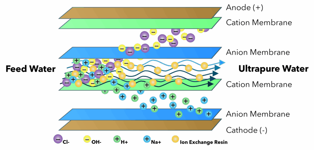EDI Membrane Graphic