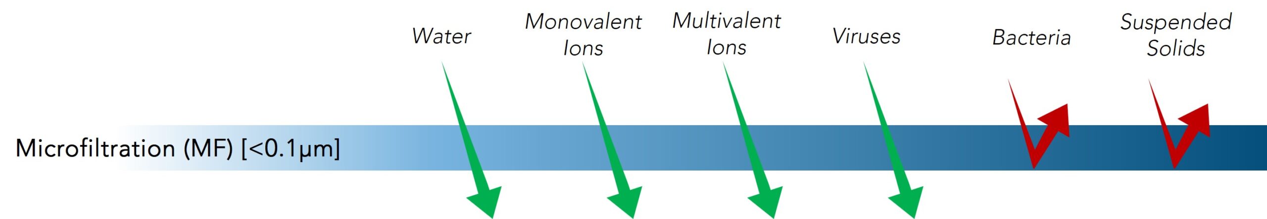 MF Filtration Level